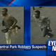 Image for article titled Bizarre iPad-Carrying Jogger Mugged in Central Park